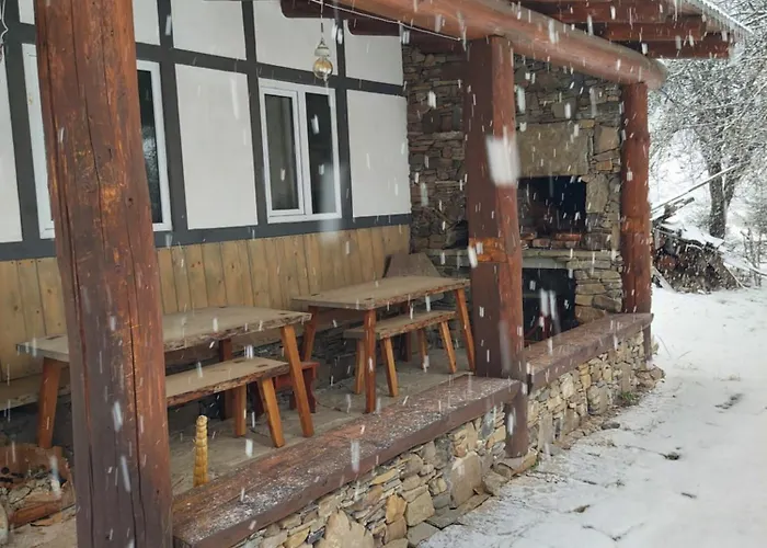 The Wild Casa vacanze *